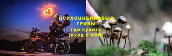 Альфа ПВП Вязьма