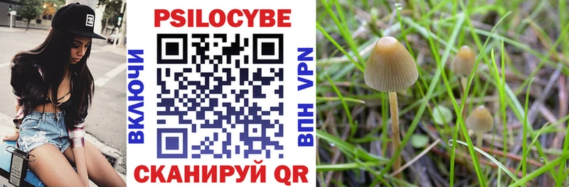 Галлюциногенные грибы Cubensis  Керчь 